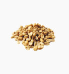 Peanuts Unsalted 1 lbs