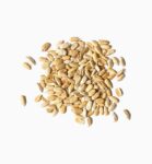 Sunflower Seeds Shelled Organic 1 lbs