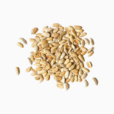 Sunflower Seeds Shelled Organic 1 lbs