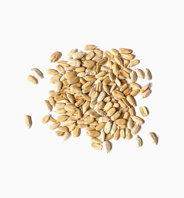 Sunflower Seeds Shelled Organic 1 lbs