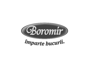 boromir brand logo
